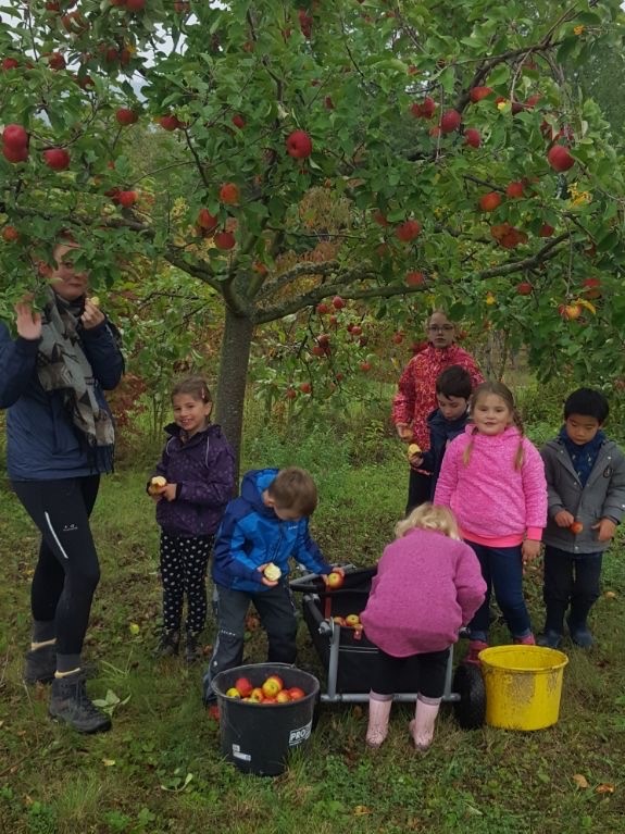 Kinder ernten Äpfel