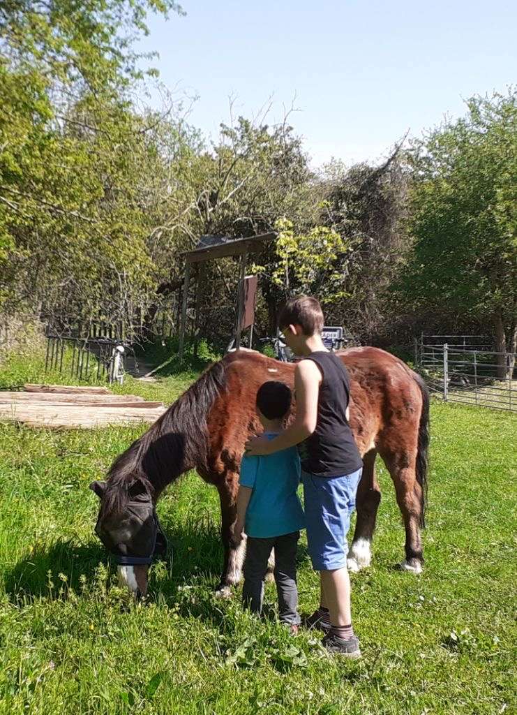 Pferd mit Kindern