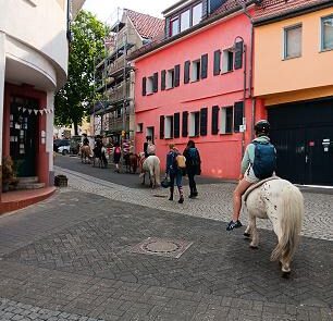 03 Ponys in der Stadt