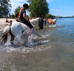 06 Pony am Strandbad