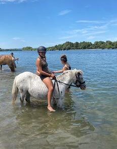09 Pony im Rhein 3