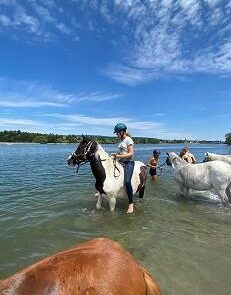 10 Ponys im Rhein 4