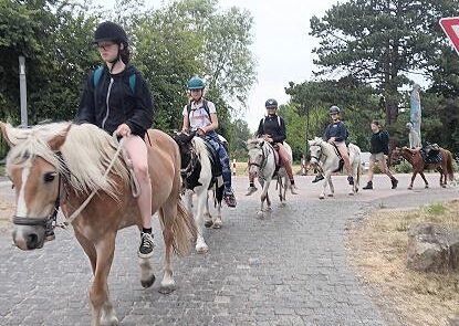 16 Ponys auf dem Rückweg zur Farm